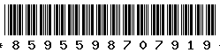 8595598707919 8595598707919