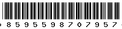 8595598707957 8595598707957