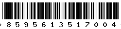 8595613517004