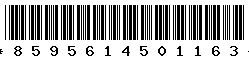 8595614501163 8595614501163