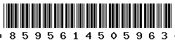8595614505963