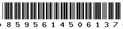 8595614506137