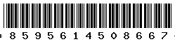 8595614508667