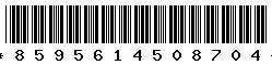 8595614508704