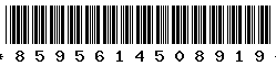 8595614508919