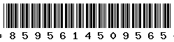 8595614509565 8595614509565