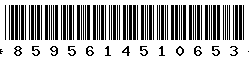 8595614510653