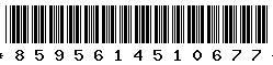 8595614510677