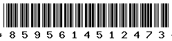 8595614512473