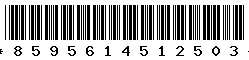 8595614512503