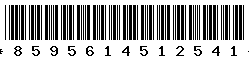 8595614512541