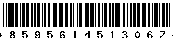8595614513067