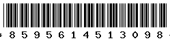 8595614513098