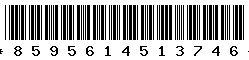 8595614513746