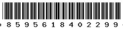 8595618402299