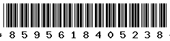 8595618405238