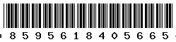 8595618405665