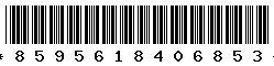 8595618406853