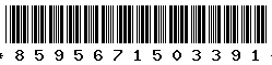 8595671503391