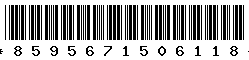8595671506118