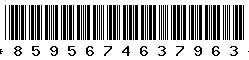 8595674637963