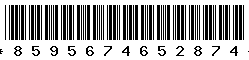 8595674652874