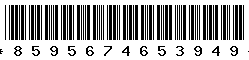 8595674653949