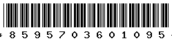 8595703601095