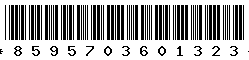 8595703601323