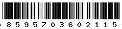 8595703602115