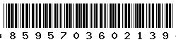 8595703602139
