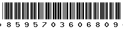 8595703606809