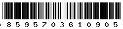 8595703610905