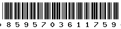 8595703611759