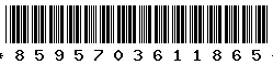 8595703611865