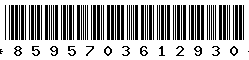 8595703612930
