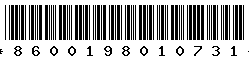 8600198010731