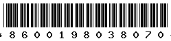 8600198038070
