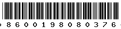 8600198080376