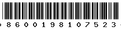 8600198107523 8600198107523