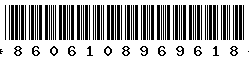 8606108969618