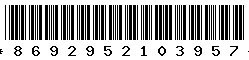 8692952103957