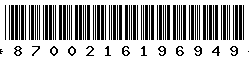 8700216196949