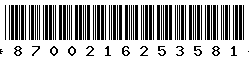 8700216253581