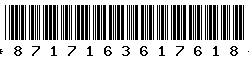 8717163617618