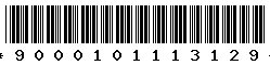 9000101113129
