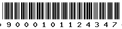 9000101124347