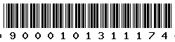 9000101311174