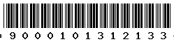 9000101312133
